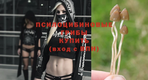 тгк Аркадак