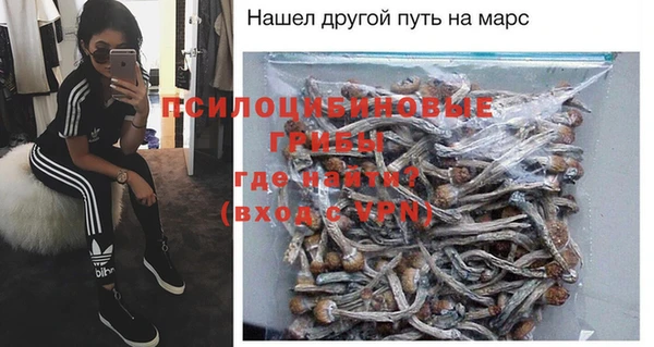 тгк Аркадак