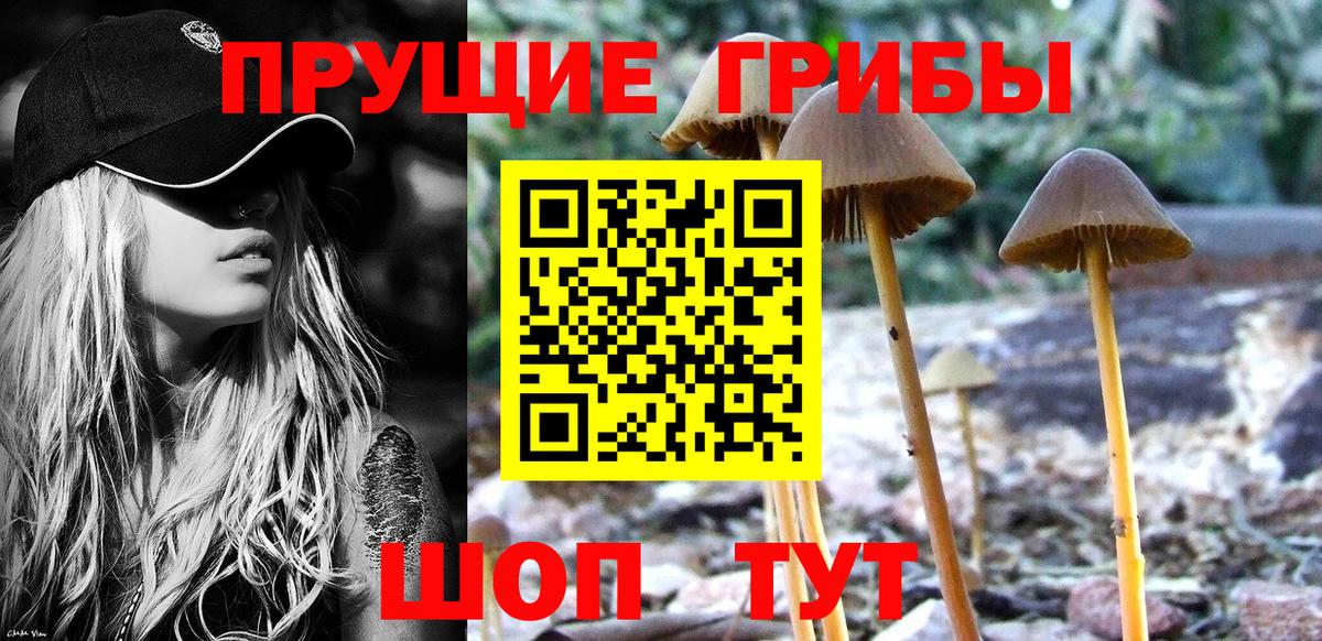 Галлюциногенные грибы MAGIC MUSHROOMS  Псилоцибиновые грибы Magic Shrooms  где продают наркотики  Вход с VPN  Тара 
